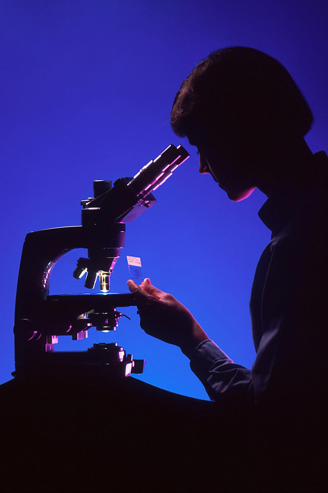 Woman's Risk of Heart Disease Lowered