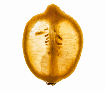Lemon Peel Oil