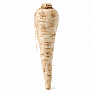 Chicory Root